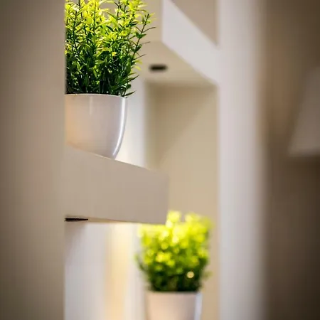 Lu Mo Mari Loft 公寓 *